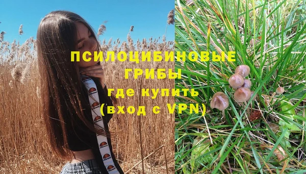 дистиллят марихуана Каменногорск
