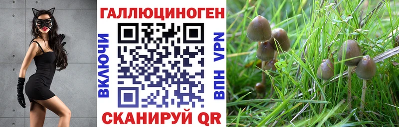 MEGA ссылки  Горняк  Псилоцибиновые грибы Psilocybe 